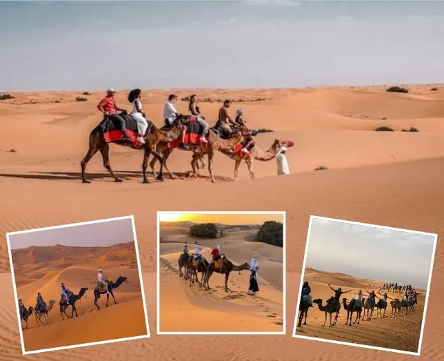 Camel Riding In Desert